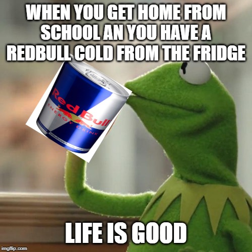 But That's None Of My Business | WHEN YOU GET HOME FROM SCHOOL AN YOU HAVE A REDBULL COLD FROM THE FRIDGE; LIFE IS GOOD | image tagged in memes,but thats none of my business,kermit the frog | made w/ Imgflip meme maker