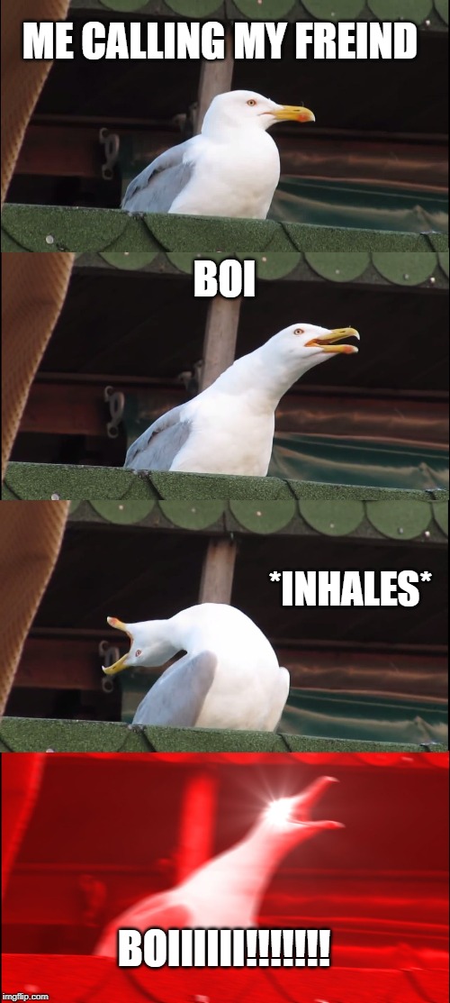 Inhaling Seagull Meme | ME CALLING MY FREIND; BOI; *INHALES*; BOIIIIII!!!!!!! | image tagged in memes,inhaling seagull | made w/ Imgflip meme maker
