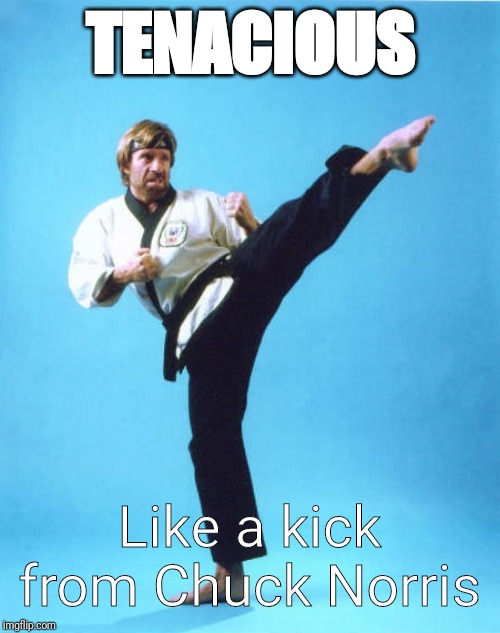 Chuck Norris Kick | TENACIOUS; Like a kick from Chuck Norris | image tagged in chuck norris kick | made w/ Imgflip meme maker