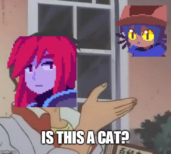 Is This A Pigeon | IS THIS A CAT? | image tagged in memes,is this a pigeon | made w/ Imgflip meme maker