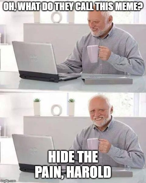 Hide the Pain Harold | OH, WHAT DO THEY CALL THIS MEME? HIDE THE PAIN, HAROLD | image tagged in memes,hide the pain harold | made w/ Imgflip meme maker