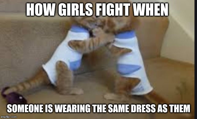 HOW GIRLS FIGHT WHEN; SOMEONE IS WEARING THE SAME DRESS AS THEM | image tagged in life | made w/ Imgflip meme maker