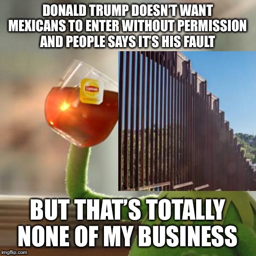 DONALD TRUMP DOESN’T WANT MEXICANS TO ENTER WITHOUT PERMISSION AND PEOPLE SAYS IT’S HIS FAULT; BUT THAT’S TOTALLY NONE OF MY BUSINESS | image tagged in donald trump,build a wall,memes,comedy,people | made w/ Imgflip meme maker