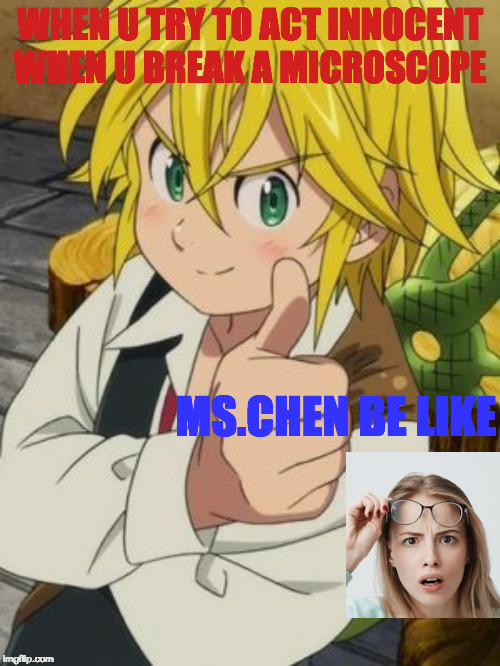 MELIODAS THUMBS UP | WHEN U TRY TO ACT INNOCENT WHEN U BREAK A MICROSCOPE; MS.CHEN BE LIKE | image tagged in meliodas thumbs up | made w/ Imgflip meme maker