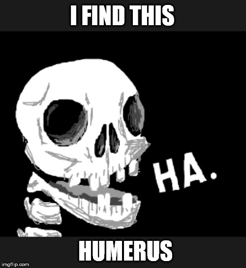 I FIND THIS HUMERUS | made w/ Imgflip meme maker