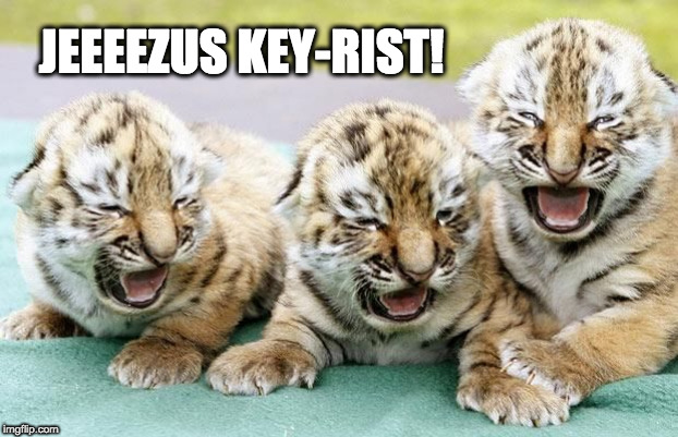 Jeeezus Keyrist! | JEEEEZUS KEY-RIST! | image tagged in jebus,jeezus,key-rist,tigers,appalled,disgusted | made w/ Imgflip meme maker