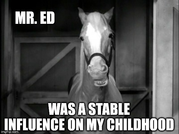 Mr. Ed | MR. ED; WAS A STABLE INFLUENCE ON MY CHILDHOOD | image tagged in mr ed | made w/ Imgflip meme maker