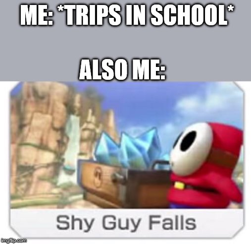 Introverts will understand | ME: *TRIPS IN SCHOOL*; ALSO ME: | image tagged in shy guy,introvert | made w/ Imgflip meme maker
