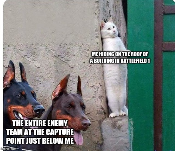 Battlefield one was great! | ME HIDING ON THE ROOF OF A BUILDING IN BATTLEFIELD 1; THE ENTIRE ENEMY TEAM AT THE CAPTURE POINT JUST BELOW ME | image tagged in hidden cat,battlefield 1,hiding | made w/ Imgflip meme maker