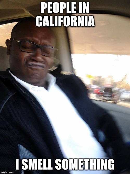 I smell something | PEOPLE IN CALIFORNIA; I SMELL SOMETHING | image tagged in i smell something | made w/ Imgflip meme maker