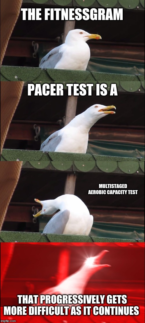 Inhaling Seagull Meme | THE FITNESSGRAM; PACER TEST IS A; MULTISTAGED AEROBIC CAPACITY TEST; THAT PROGRESSIVELY GETS MORE DIFFICULT AS IT CONTINUES | image tagged in memes,inhaling seagull | made w/ Imgflip meme maker