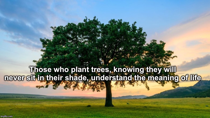 Trees meaning of life | Those who plant trees, knowing they will never sit in their shade, understand the meaning of life | image tagged in trees meaning of life | made w/ Imgflip meme maker