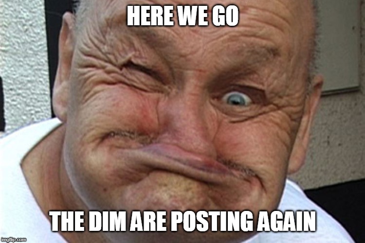 the dim posting | HERE WE GO; THE DIM ARE POSTING AGAIN | image tagged in posting,again | made w/ Imgflip meme maker