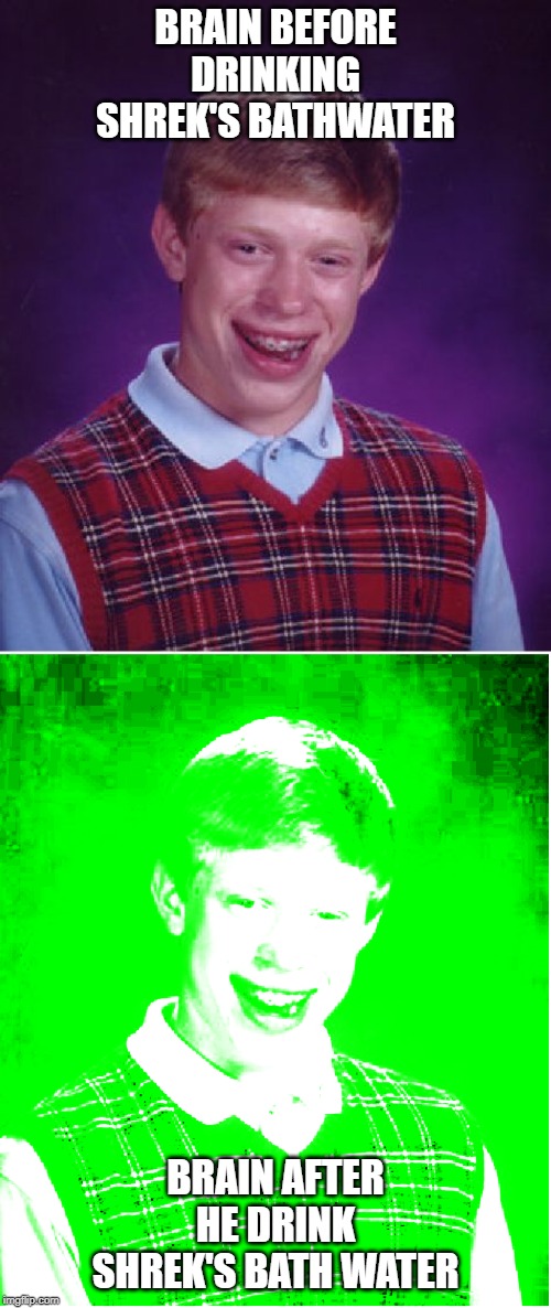 BRAIN BEFORE DRINKING SHREK'S BATHWATER; BRAIN AFTER HE DRINK SHREK'S BATH WATER | image tagged in memes,bad luck brian | made w/ Imgflip meme maker