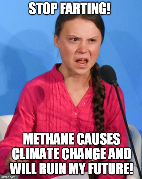 STOP FARTING! METHANE CAUSES CLIMATE CHANGE AND WILL RUIN MY FUTURE! | made w/ Imgflip meme maker