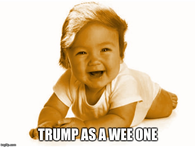 Trump as a wee one | TRUMP AS A WEE ONE | image tagged in donald trump | made w/ Imgflip meme maker