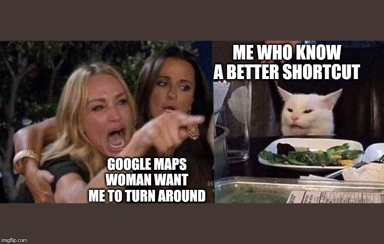woman yelling at cat | ME WHO KNOW A BETTER SHORTCUT; GOOGLE MAPS WOMAN WANT ME TO TURN AROUND | image tagged in woman yelling at cat | made w/ Imgflip meme maker