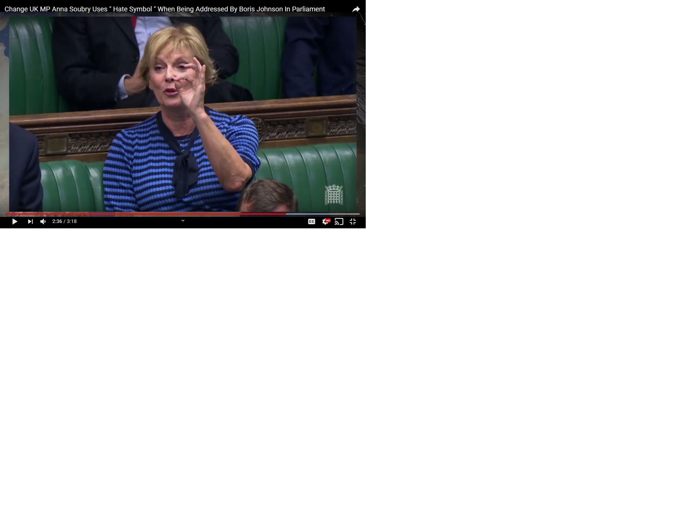 Anna Soubry Blank Meme Template
