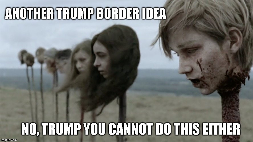 Trump wants a moat with snakes and alligators - heads on spikes? | ANOTHER TRUMP BORDER IDEA; NO, TRUMP YOU CANNOT DO THIS EITHER | image tagged in border wall,trump is insane,impeach trump,impeach,impeachment,trump impeachment | made w/ Imgflip meme maker
