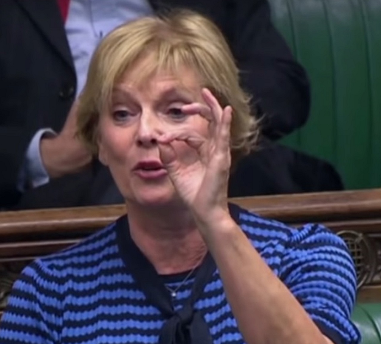 Anna Soubry Blank Meme Template