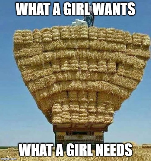 What a girl needs | WHAT A GIRL WANTS; WHAT A GIRL NEEDS | image tagged in hay | made w/ Imgflip meme maker