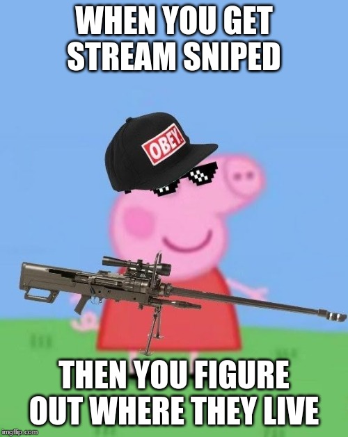 Mlg peppa pig | WHEN YOU GET STREAM SNIPED; THEN YOU FIGURE OUT WHERE THEY LIVE | image tagged in mlg peppa pig | made w/ Imgflip meme maker