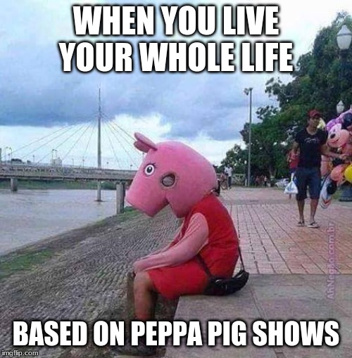 peppa pig | WHEN YOU LIVE YOUR WHOLE LIFE; BASED ON PEPPA PIG SHOWS | image tagged in peppa pig | made w/ Imgflip meme maker