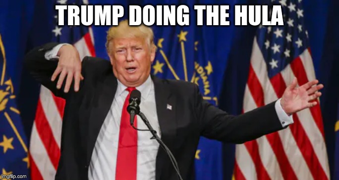 Trump Wiggly Arms | TRUMP DOING THE HULA | image tagged in trump wiggly arms,donald trump,hula,fun,dolan,memes | made w/ Imgflip meme maker