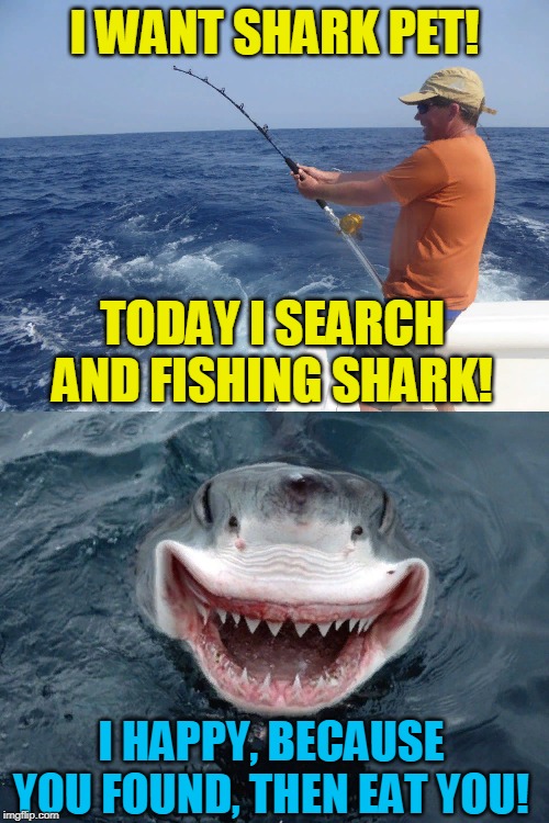 I want shark pet! Opposite week! MrRedRobert77 event! (3 - 9 october 2019)! | I WANT SHARK PET! TODAY I SEARCH AND FISHING SHARK! I HAPPY, BECAUSE YOU FOUND, THEN EAT YOU! | image tagged in opposite week,shark,mrredrobert77,fishing,funny,pets | made w/ Imgflip meme maker