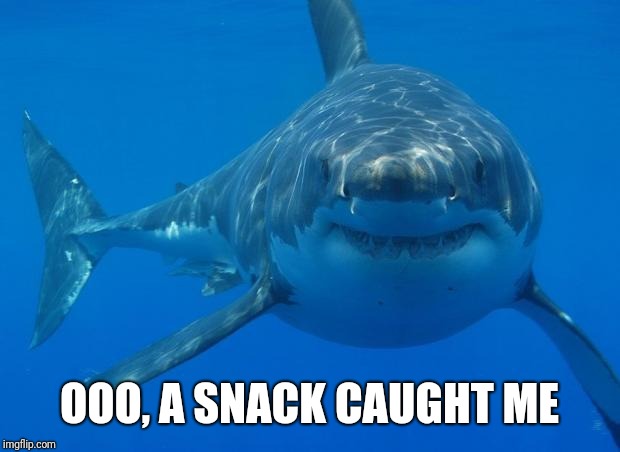 Straight White Shark | OOO, A SNACK CAUGHT ME | image tagged in straight white shark | made w/ Imgflip meme maker