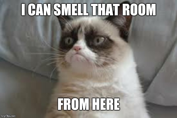 Grumpy cat | I CAN SMELL THAT ROOM FROM HERE | image tagged in grumpy cat | made w/ Imgflip meme maker