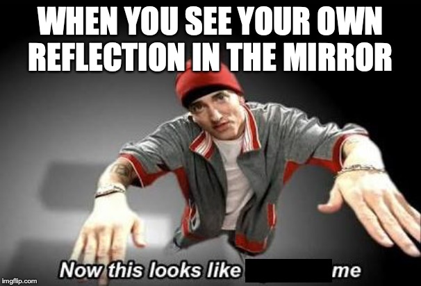 Or in clear water I guess | WHEN YOU SEE YOUR OWN REFLECTION IN THE MIRROR | image tagged in now this looks like a job for me,mirrors,reflection,when you | made w/ Imgflip meme maker