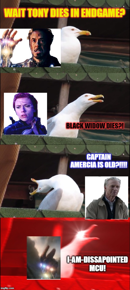 Bird snaps his fingers!*spoiler alert* | WAIT TONY DIES IN ENDGAME? BLACK WIDOW DIES?! CAPTAIN AMERCIA IS OLD?!!!! I-AM-DISSAPOINTED MCU! | image tagged in memes,inhaling seagull,avengers endgame | made w/ Imgflip meme maker