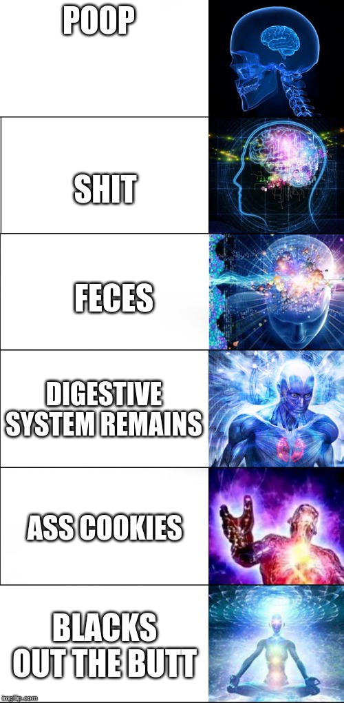 Expanding brain | POOP; SHIT; FECES; DIGESTIVE SYSTEM REMAINS; ASS COOKIES; BLACKS OUT THE BUTT | image tagged in expanding brain | made w/ Imgflip meme maker
