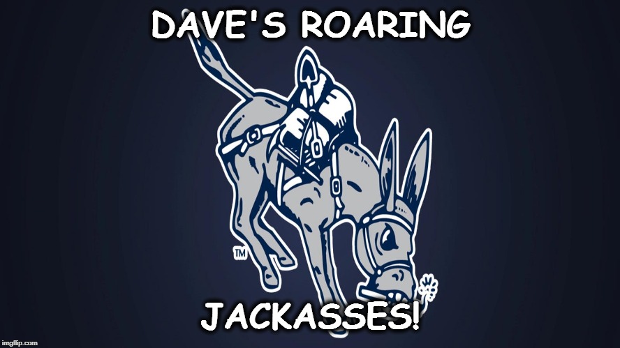 DAVE'S ROARING; JACKASSES! | image tagged in donkey | made w/ Imgflip meme maker