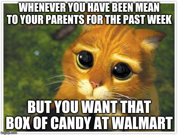 Shrek Cat | WHENEVER YOU HAVE BEEN MEAN TO YOUR PARENTS FOR THE PAST WEEK; BUT YOU WANT THAT BOX OF CANDY AT WALMART | image tagged in memes,shrek cat | made w/ Imgflip meme maker