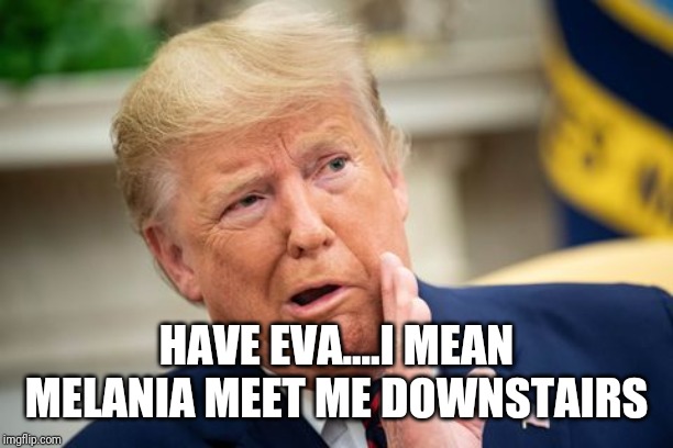 Bunker-times | HAVE EVA....I MEAN MELANIA MEET ME DOWNSTAIRS | image tagged in hitler downfall,trump derangement syndrome | made w/ Imgflip meme maker