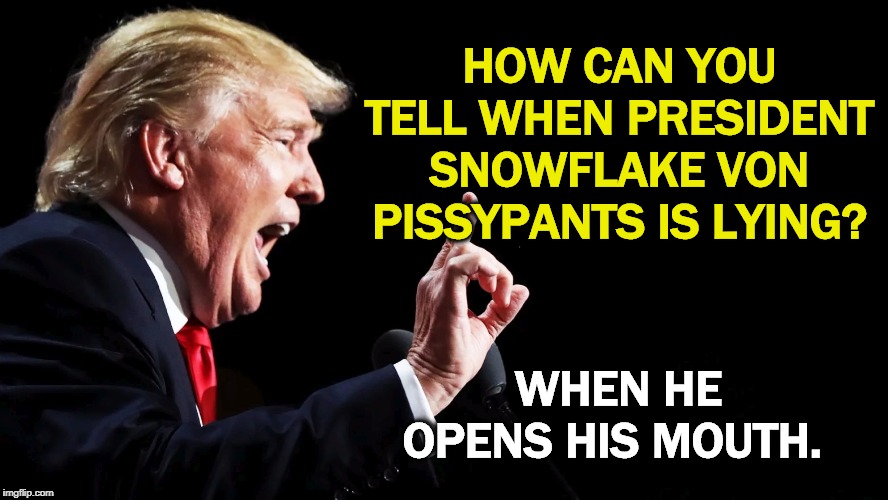 We know what he used to be like. But have you seen him on TV this last week? | HOW CAN YOU TELL WHEN PRESIDENT SNOWFLAKE VON PISSYPANTS IS LYING? WHEN HE OPENS HIS MOUTH. | image tagged in trump,snowflake,tantrum,whine,self-pity,liar | made w/ Imgflip meme maker