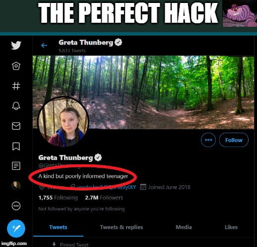Don't know who did this, but I love it. | THE PERFECT HACK | image tagged in greta thunberg | made w/ Imgflip meme maker