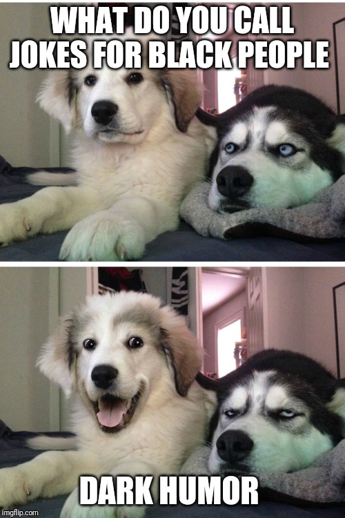 Bad pun dogs | WHAT DO YOU CALL JOKES FOR BLACK PEOPLE; DARK HUMOR | image tagged in bad pun dogs | made w/ Imgflip meme maker
