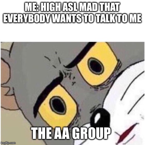Tom discussed | ME: HIGH ASL MAD THAT EVERYBODY WANTS TO TALK TO ME; THE AA GROUP | image tagged in tom discussed | made w/ Imgflip meme maker