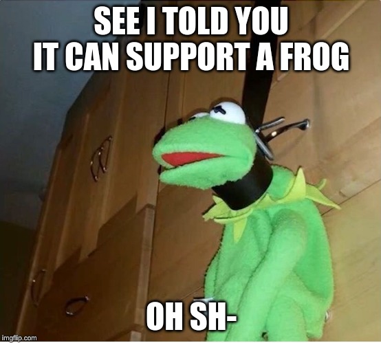 kermit hanged with belt | SEE I TOLD YOU IT CAN SUPPORT A FROG; OH SH- | image tagged in kermit hanged with belt | made w/ Imgflip meme maker