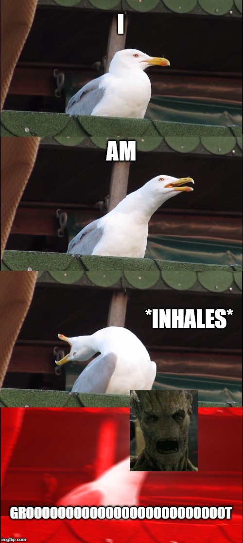 Inhaling Seagull | I; AM; *INHALES*; GROOOOOOOOOOOOOOOOOOOOOOOOOT | image tagged in memes,inhaling seagull | made w/ Imgflip meme maker