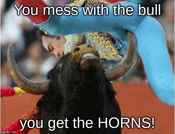 BullFighter | You mess with the bull you get the HORNS! | image tagged in bullfighter | made w/ Imgflip meme maker