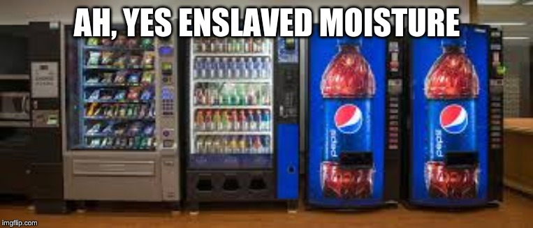 AH, YES ENSLAVED MOISTURE | image tagged in memes | made w/ Imgflip meme maker