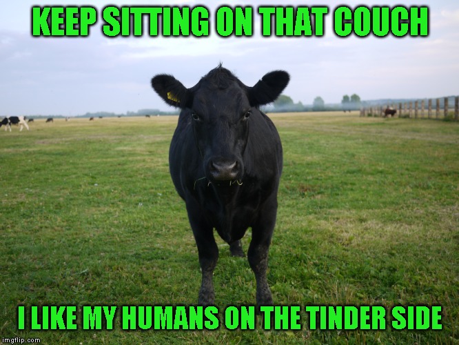 Meet the Meat - When the tables are turned! Opposite week! MrRedRobert77 event! (3 - 9 october 2019 | KEEP SITTING ON THAT COUCH; I LIKE MY HUMANS ON THE TINDER SIDE | image tagged in opposite week | made w/ Imgflip meme maker