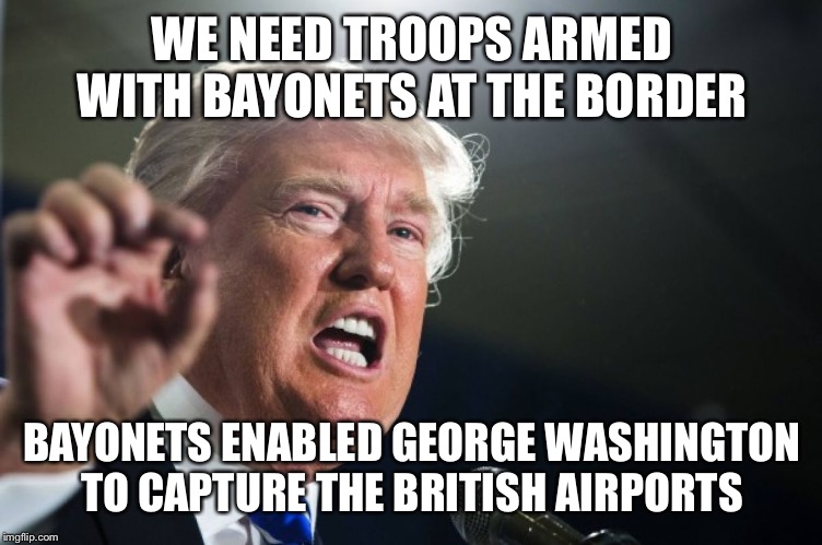 donald trump | WE NEED TROOPS ARMED WITH BAYONETS AT THE BORDER; BAYONETS ENABLED GEORGE WASHINGTON TO CAPTURE THE BRITISH AIRPORTS | image tagged in donald trump | made w/ Imgflip meme maker