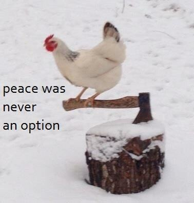 Peace was never an option Blank Meme Template
