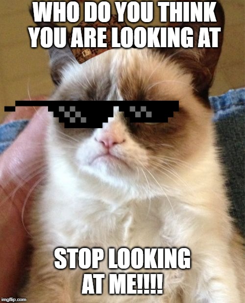 Grumpy Cat | WHO DO YOU THINK YOU ARE LOOKING AT; STOP LOOKING AT ME!!!! | image tagged in memes,grumpy cat | made w/ Imgflip meme maker