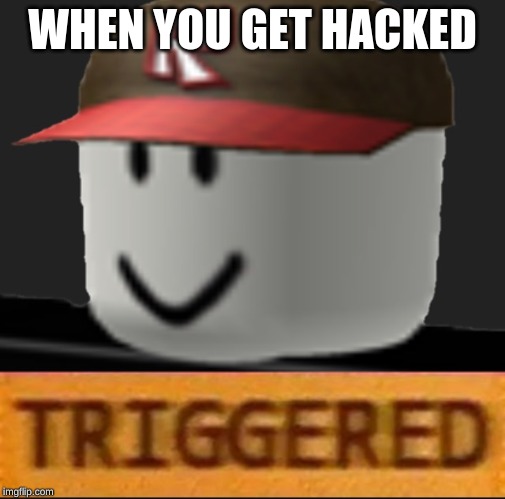 Roblox Triggered |  WHEN YOU GET HACKED | image tagged in roblox triggered | made w/ Imgflip meme maker
